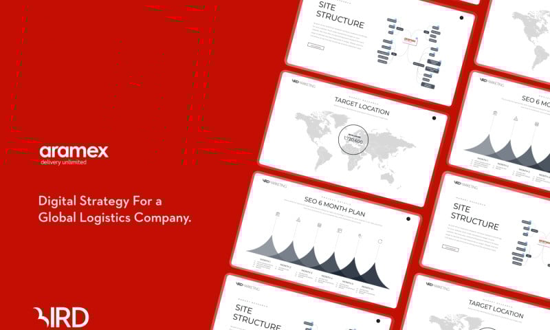 Digital Marketing for Global Delivery Company
