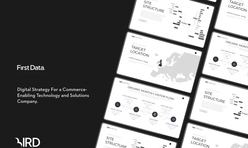 Digital Strategy for Global Payment Processor