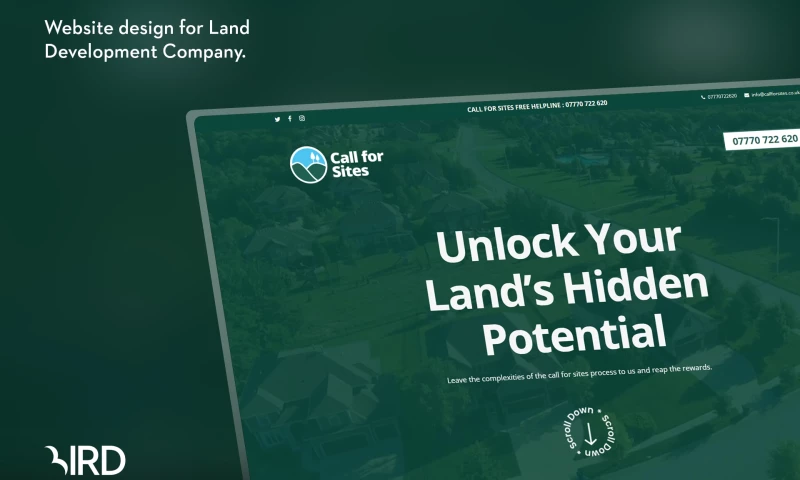Bird Marketing - Website Design For Landing Development Company