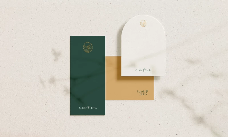 Subtle Shifts Coaching