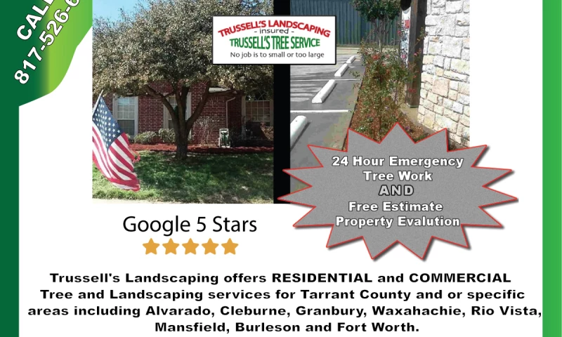 Sims Solutions - SEO/SEM