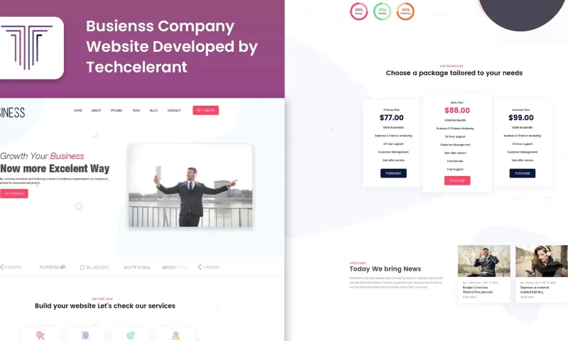 Techcelerant - AMS Web development