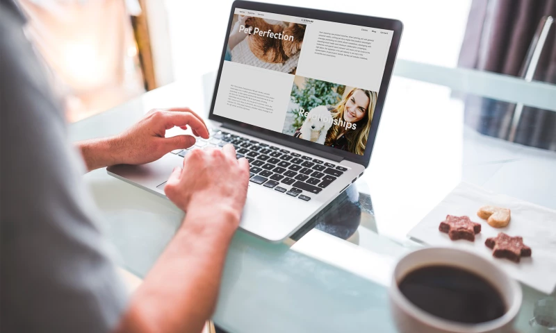 Solid Creative - K. Sutherland PR