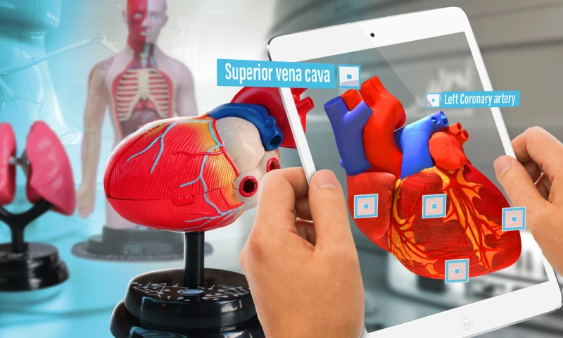 Eastcolight Human Anatomy Toys with AR