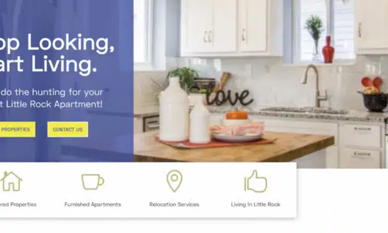 A case study on SEO recovery!