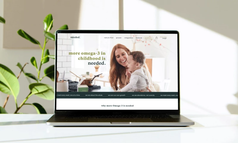 Cerebral Studio - This is Needed