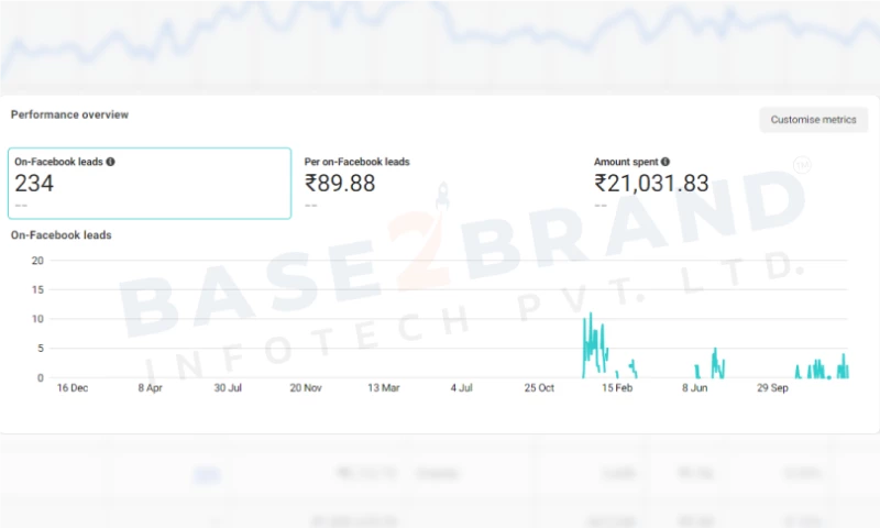 Google & Facebook Ads
