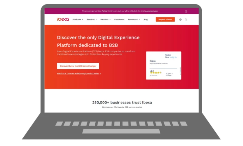 Big Star Copywriting - Ibexa - SEO, Google Ads, content creation