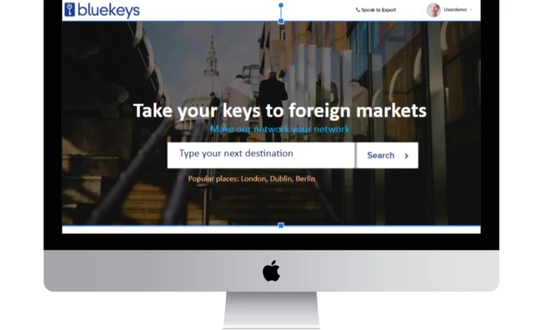 Techwink Services - Bluekeys