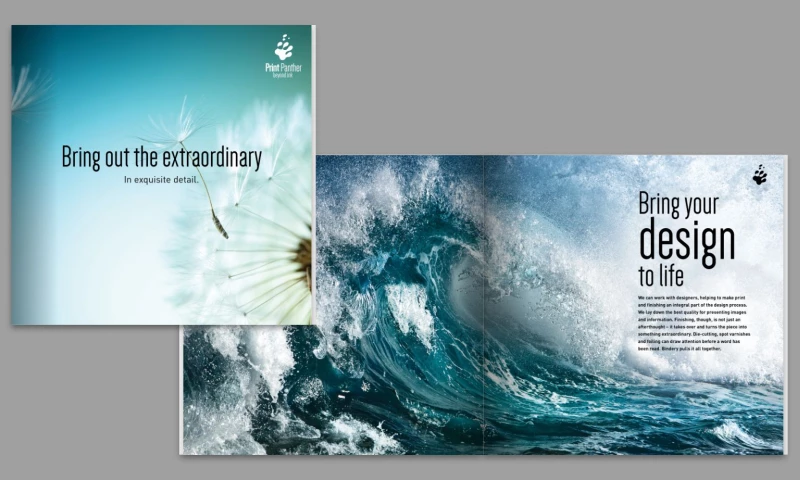 Print Panther Promotional Booklet