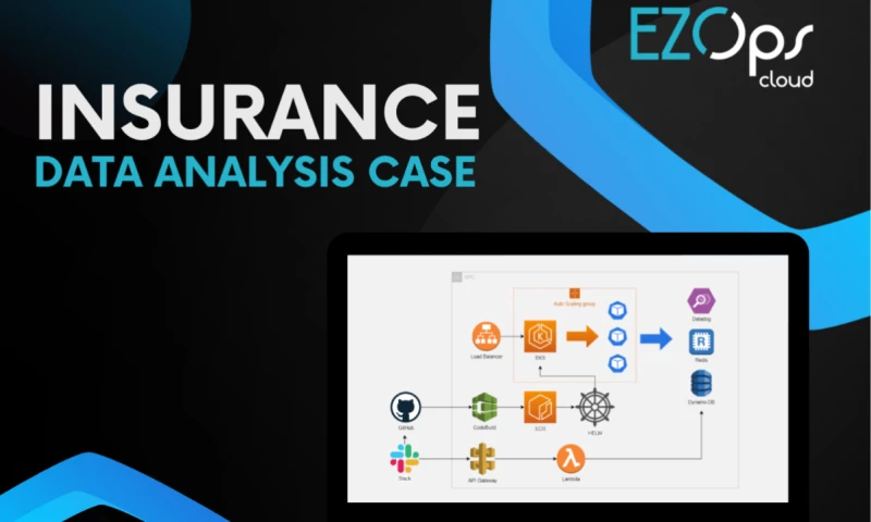 Insurance Data Analysis Case
