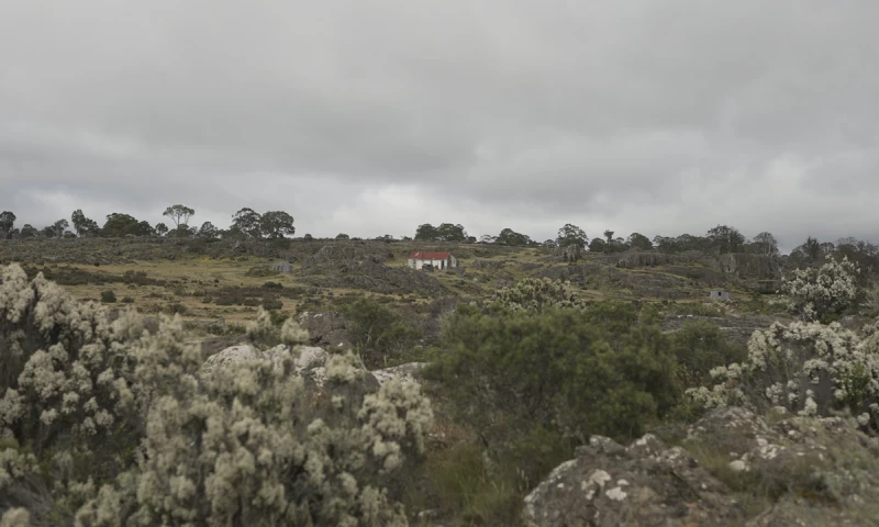 Khorus - The Downie Family