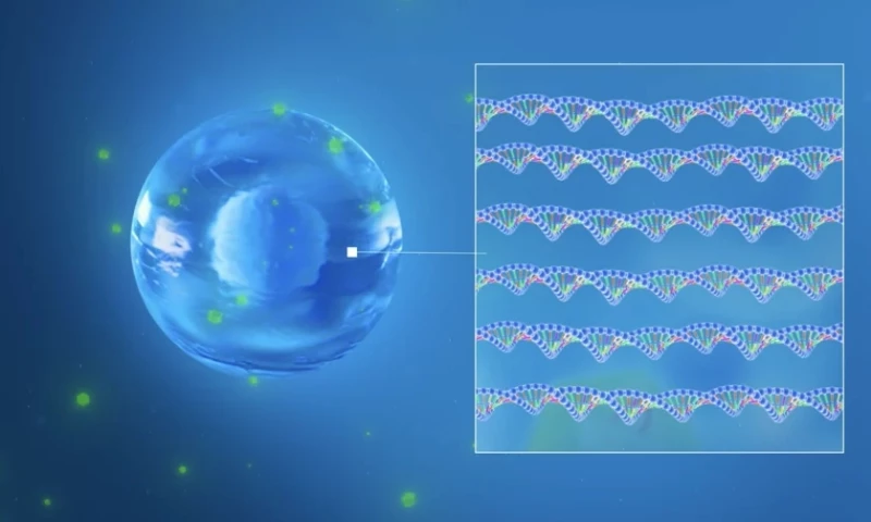 Demonstrating the approach of rAAVs production for NewBiologix