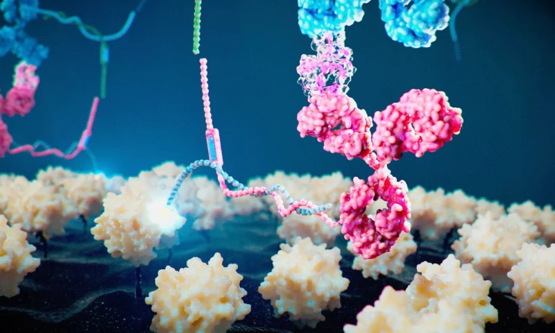 Scientific animation development for Alamar Biosciences