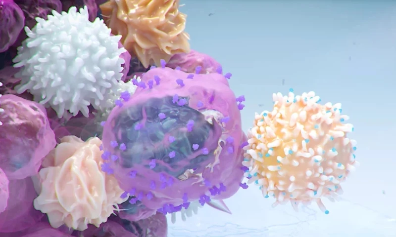 Spanios Labs exhibition booth artwork and MoA animation