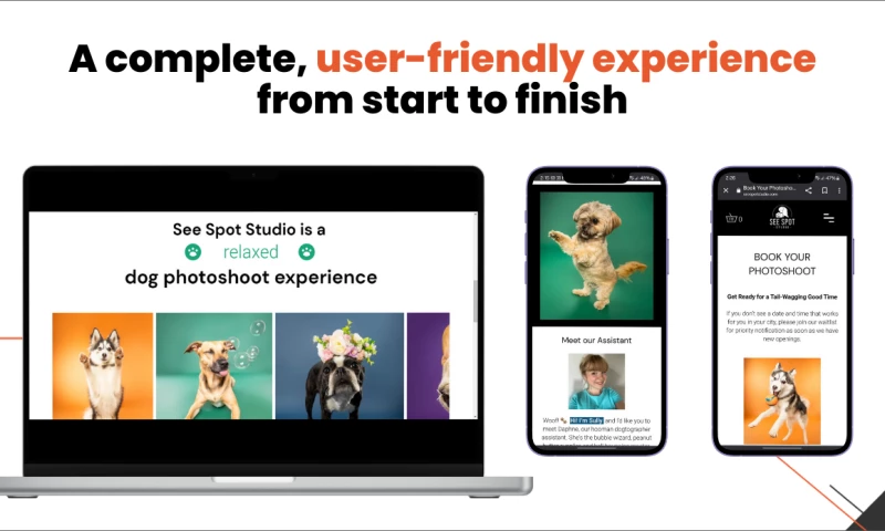 See Spot Studio Website Design