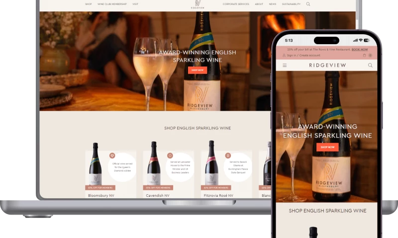 ADVANCED BESPOKE WORDPRESS SITE