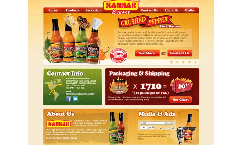 Dreamcatcher Studio - Sansae Export Website