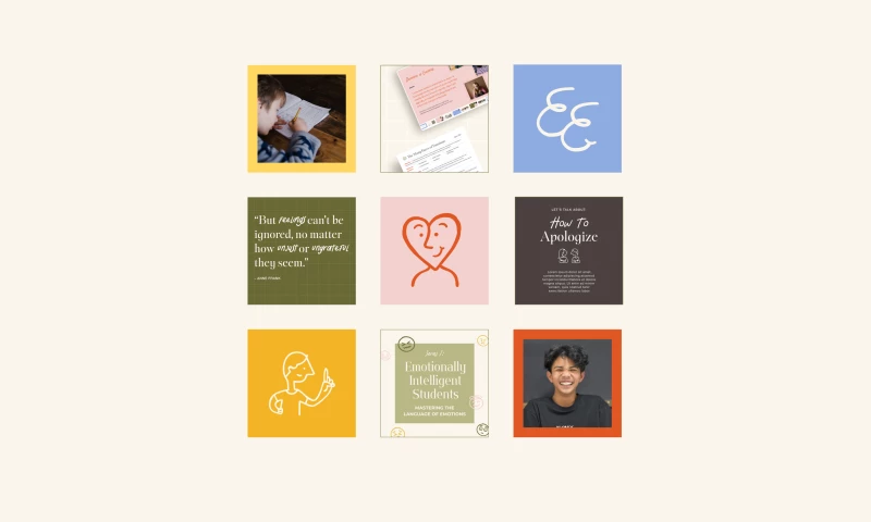 The Emotions Educator