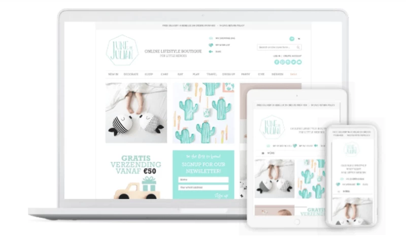 June And Julian Bvba Ecommerce Website Development