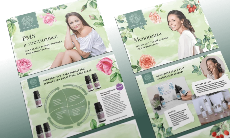 AnFas - Quick overview of AnFas projects