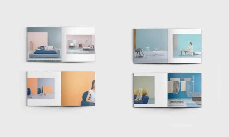 SCRIPT - BRAND IDENTITY