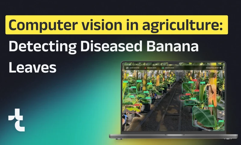 How to Use Computer Vision in Agriculture for Detecting Diseased Banana Leaves