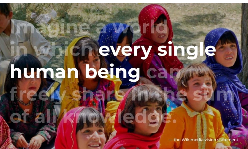 Mangrove - Wikimedia Annual Report