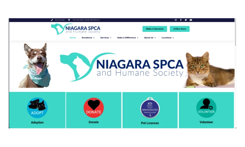 i5 Marketing Inc. - Niagara SPCA