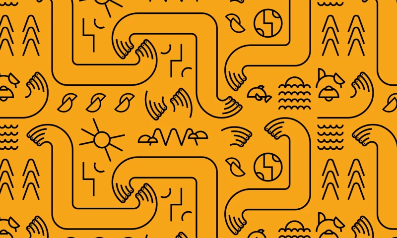 Lazy snail Design - OMU NGO