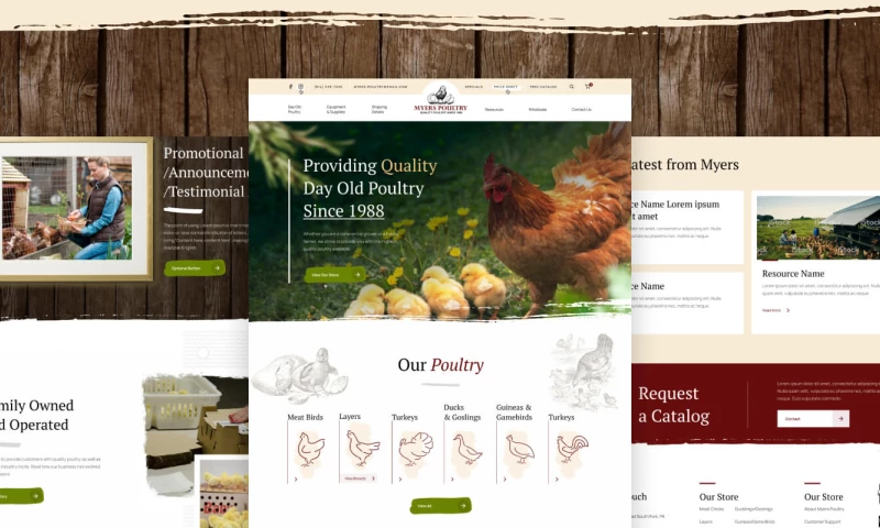 Blue Archer - Myers Poultry