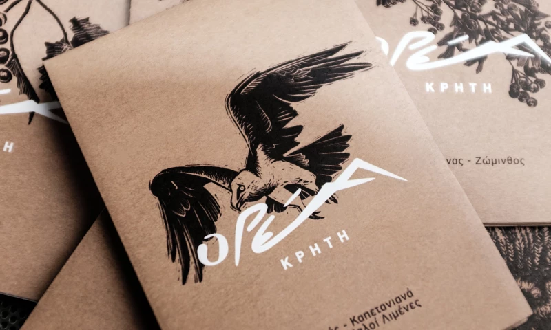 Lazy snail Design - Orea Kriti