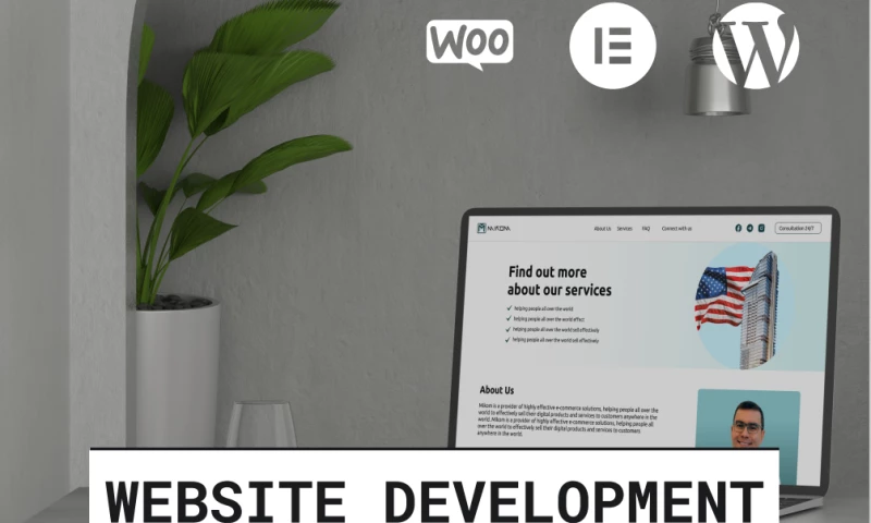 Website development