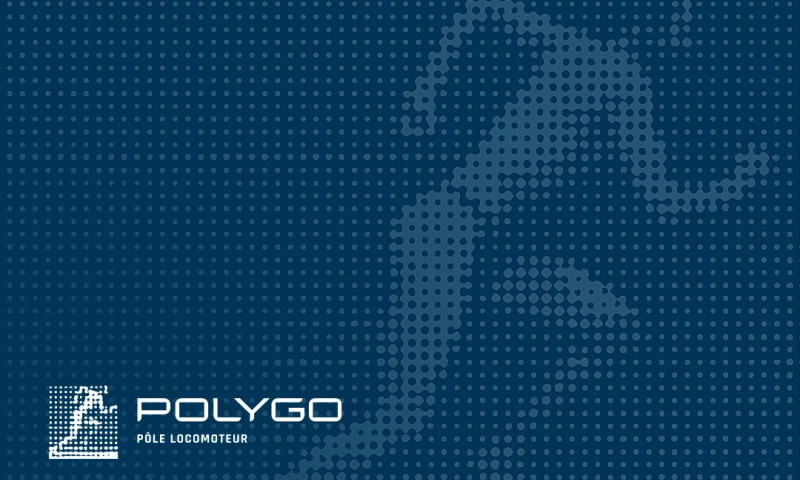 BrandSilver - Polygo- Naming & Branding