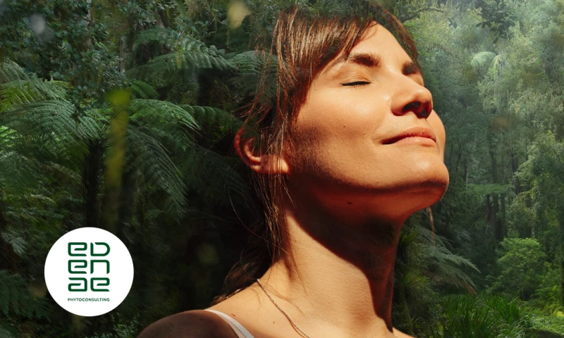 BrandSilver - Edenae - Naming & Brand identity