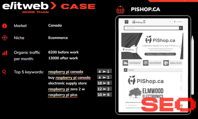 PPC, SEO, and SMM Promotion of PiShop E-commerce Shop