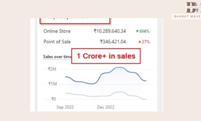 Lifestyle Brand Surpassing $100k+ in Sales