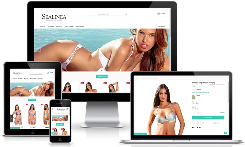 CITYTECH SOFTWARE - Sealinea Multistore implementation