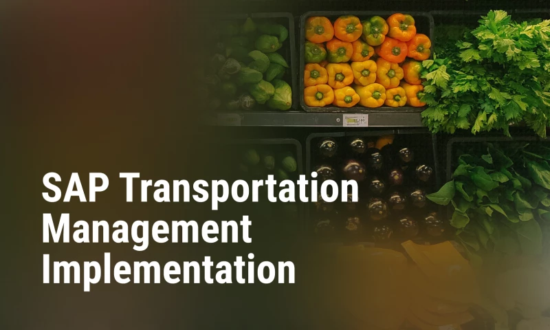 SAP Transportation Management implementation for a large retailer