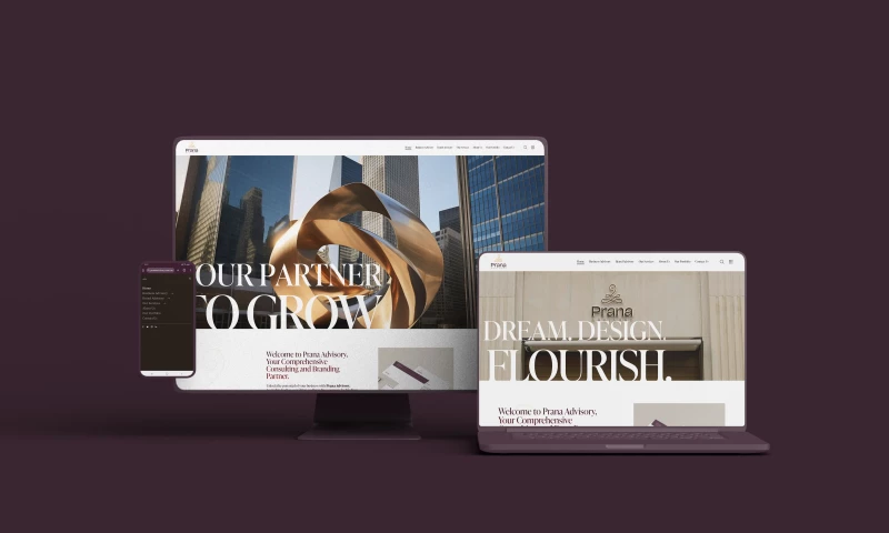 Prana Advisory Website