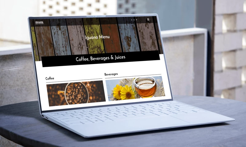 Iguana Beach Cafe Chania Website