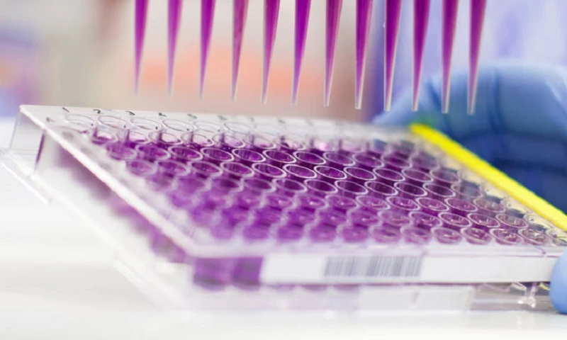 CE-Marked Laboratory Diagnostics Software Delivered in 7 Months