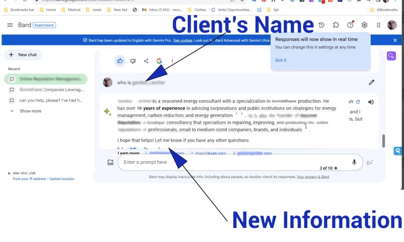 AI Reputation Management