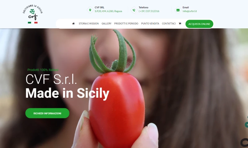 e-Service by Puzzo Davide - CVF