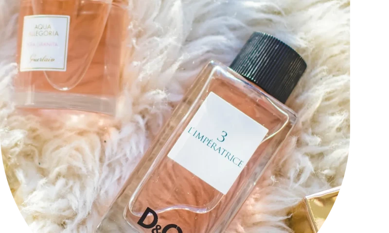 Fragrance Company - SEO + SEM