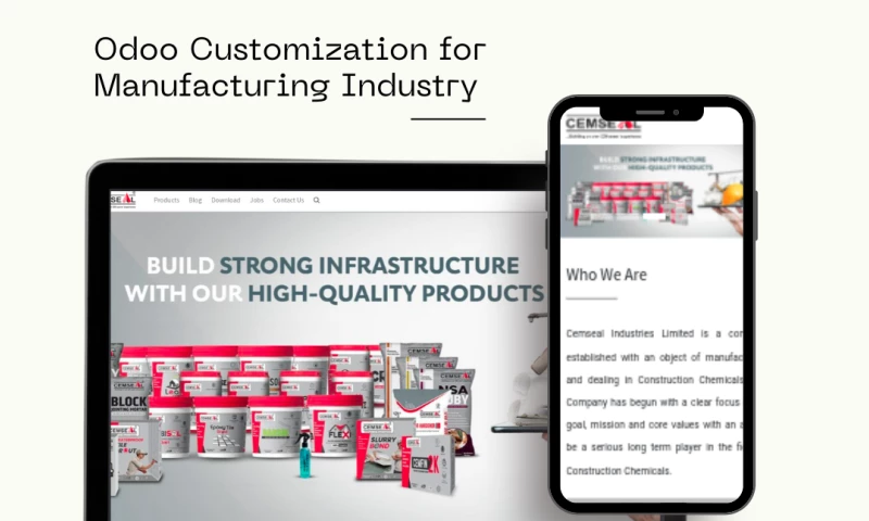 Entrivis Tech Pvt Ltd - Cemseal (Odoo Customization)