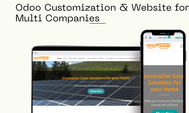 Entrivis Tech Pvt Ltd - Apex (Odoo Customization, Integration, Wesbite)