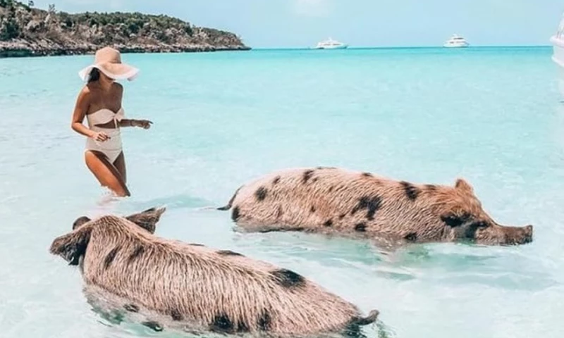 Online Tour Booking Website