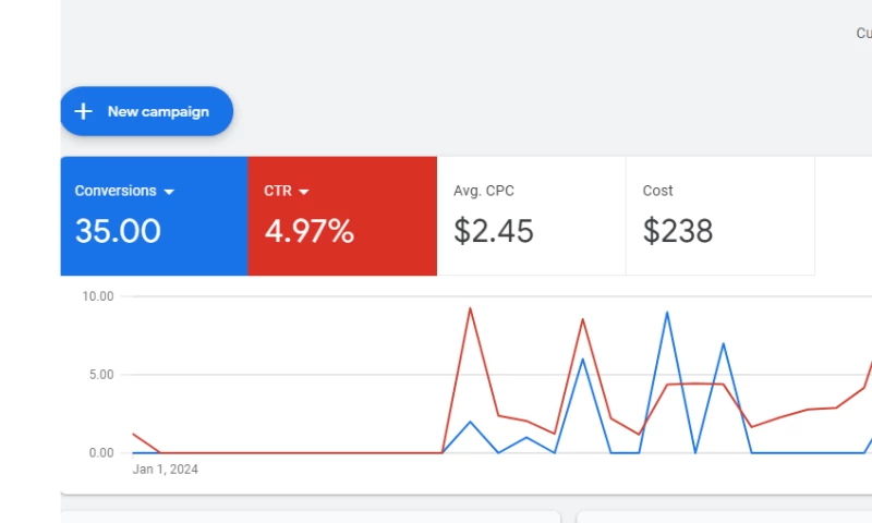 1600% ROI Return on Google Ads for Boise Mobile Detailing Company