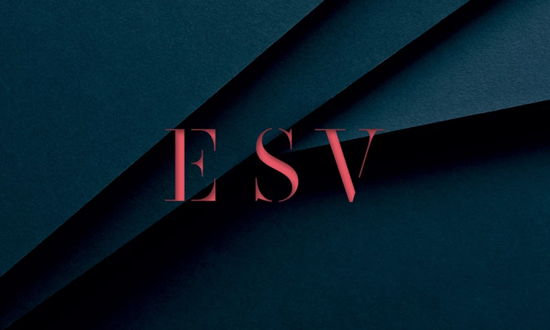 ESV Group
